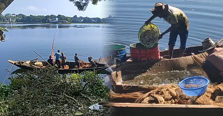 কাপ্তাই হ্রদ